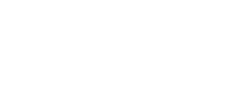 logotype flaron